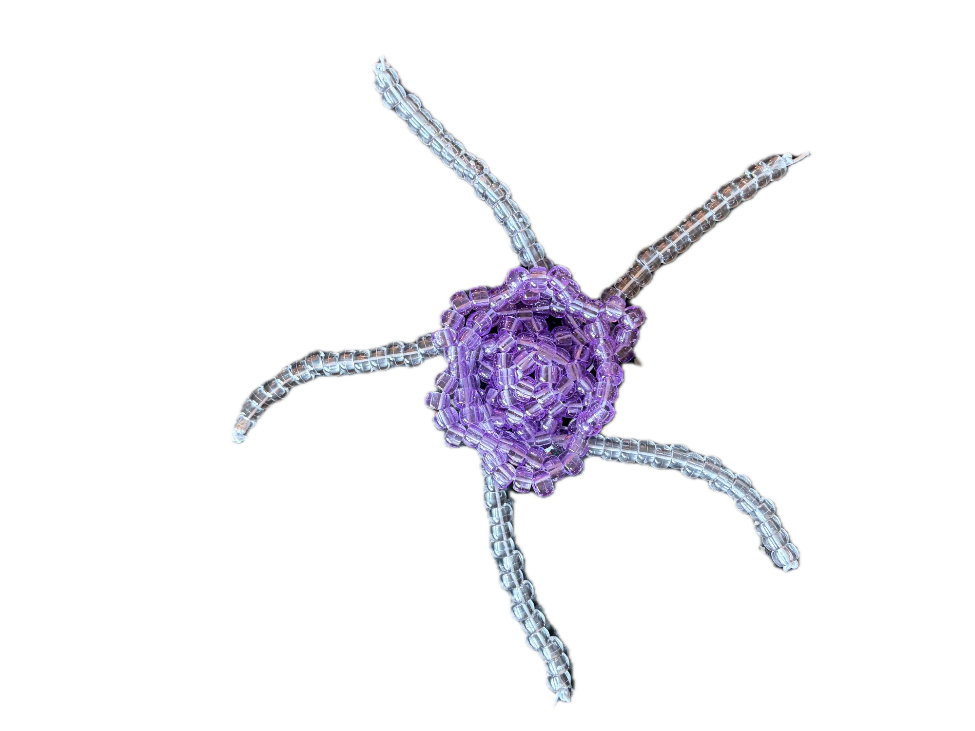 Beaded Jellyfish